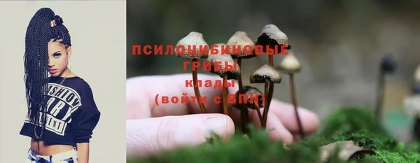 MESCALINE Магадан