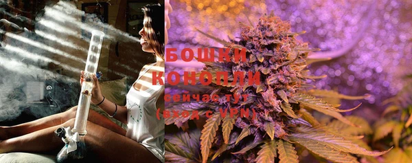 стафф Майский