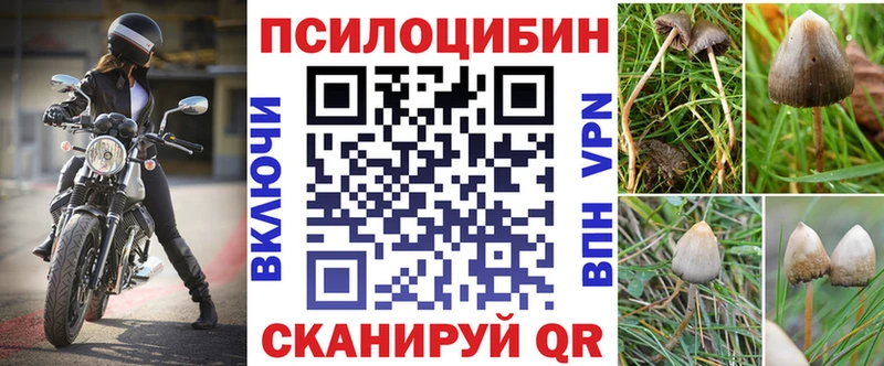 Купить  Феодосия  Псилоцибиновые грибы мицелий 
